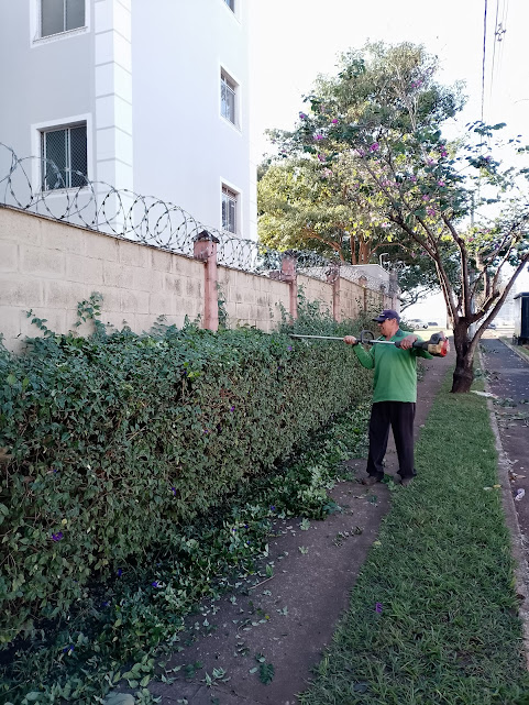 Manutenção de jardim